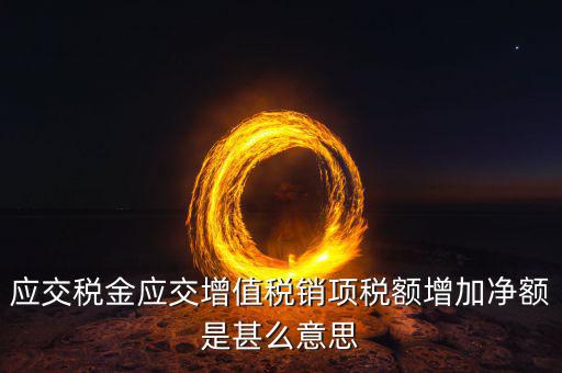 應(yīng)交稅金應(yīng)交增值稅銷項(xiàng)稅額增加凈額是甚么意思