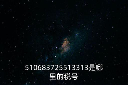 陜西省地方的稅號開頭是什么，510683725513313是哪里的稅號