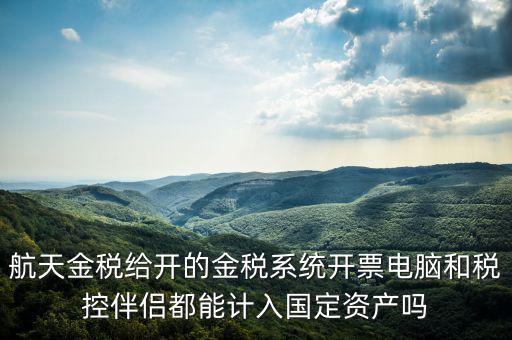 金稅為什么給中軟做，航天金稅給開的金稅系統(tǒng)開票電腦和稅控伴侶都能計入國定資產(chǎn)嗎