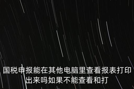 國稅申報(bào)能在其他電腦里查看報(bào)表打印出來嗎如果不能查看和打