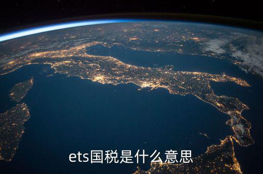 ets國稅是什么意思