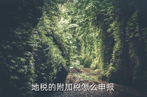 什么是附加稅申報(bào)，地稅的附加稅怎么申報(bào)