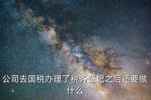 公司去國(guó)稅辦理了稅務(wù)登記之后還要做什么