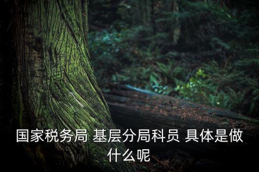 國地稅征管改革黨員干部干什么，國家稅務局 基層分局科員 具體是做什么呢