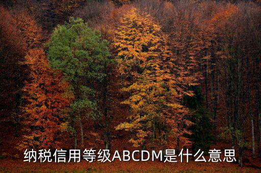 納稅信用等級(jí)ABCDM是什么意思