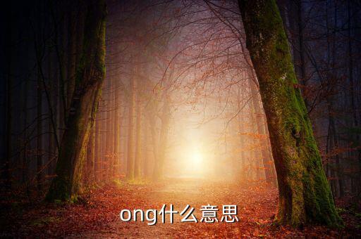 發(fā)票ong什么意思，ong什么意思