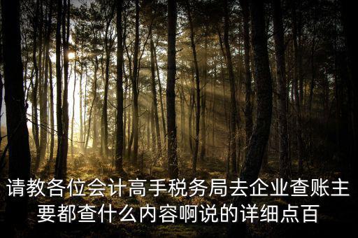 請教各位會計高手稅務局去企業(yè)查賬主要都查什么內容啊說的詳細點百