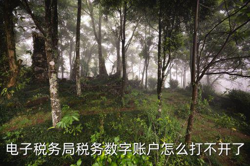 為什么電子地方稅務局進不去，網(wǎng)上稅務局怎么登錄不進去