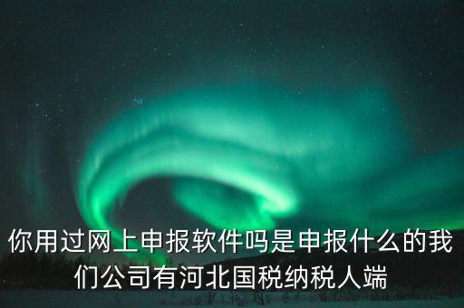 企業(yè)申報(bào)客戶端是什么，你用過網(wǎng)上申報(bào)軟件嗎是申報(bào)什么的我們公司有河北國稅納稅人端