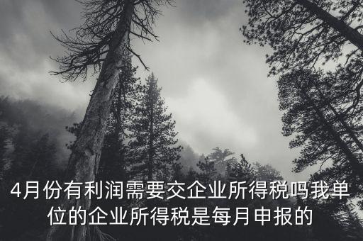 每年四月份要申報什么稅，我公司是一般納稅人四月份要申報兩個不同稅稅率的稅有一個可以