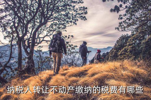 納稅人轉(zhuǎn)讓不動(dòng)產(chǎn)繳納的稅費(fèi)有哪些