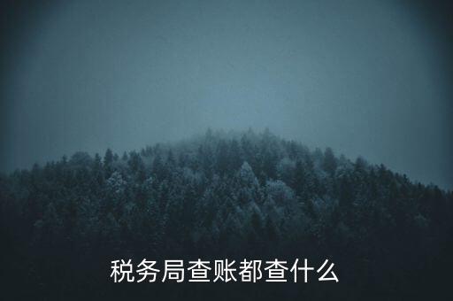 稅務(wù)局查賬都查什么