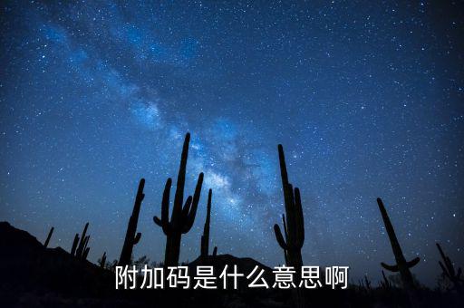 遼寧查發(fā)票有一個附加碼是什么，發(fā)票真?zhèn)尾樵兇a是什么