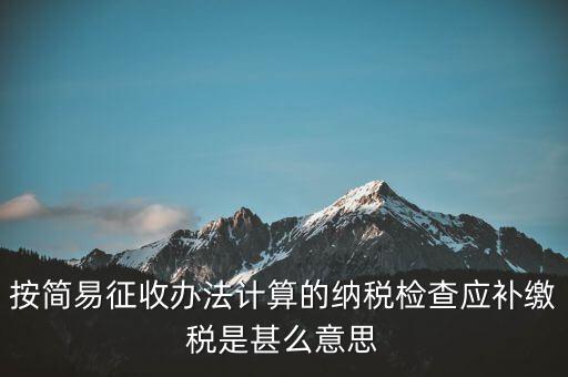 簡易征收什么意思，按簡易征收辦法計算的納稅檢查應(yīng)補繳稅是甚么意思