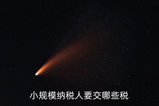 小規(guī)模納稅人要交哪些稅