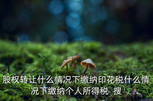 股權(quán)轉(zhuǎn)讓什么情況下繳納印花稅什么情況下繳納個人所得稅  搜