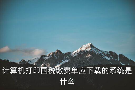 計(jì)算機(jī)打印國(guó)稅繳費(fèi)單應(yīng)下載的系統(tǒng)是什么