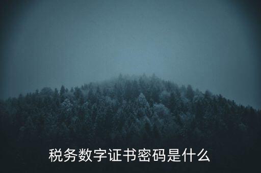 輸入稅務數(shù)字證書密碼是什么，稅務數(shù)字證書密碼是什么