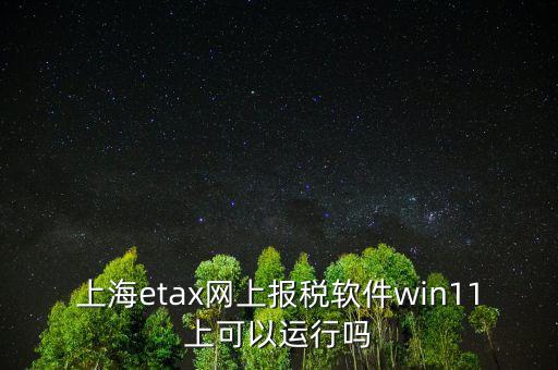 上海etax網(wǎng)上報(bào)稅軟件win11上可以運(yùn)行嗎