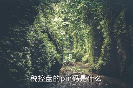 報稅pin口令是什么，稅控盤的pin碼是什么