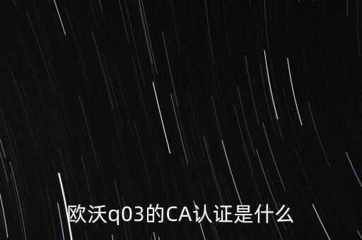 ca認(rèn)證密碼是什么意思，歐沃q03的CA認(rèn)證是什么