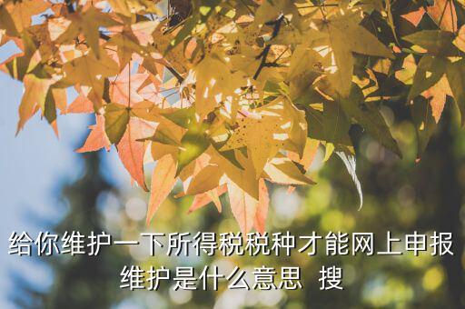 給你維護一下所得稅稅種才能網(wǎng)上申報維護是什么意思  搜