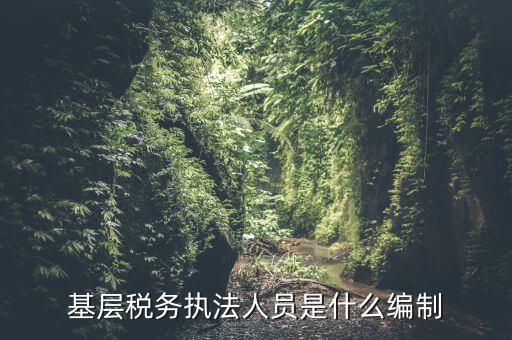 基層稅收?qǐng)?zhí)法干什么的，基層稅務(wù)執(zhí)法人員是什么編制