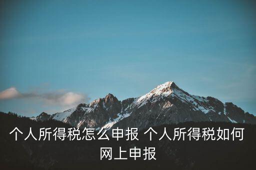 個(gè)人所得稅怎么申報(bào) 個(gè)人所得稅如何網(wǎng)上申報(bào)