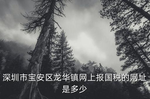 深圳市寶安區(qū)龍華鎮(zhèn)網(wǎng)上報國稅的網(wǎng)址是多少