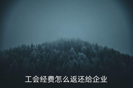 工會(huì)經(jīng)費(fèi)怎么返還給企業(yè)