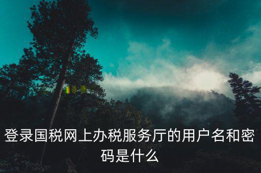 登錄國稅網(wǎng)上辦稅服務廳的用戶名和密碼是什么