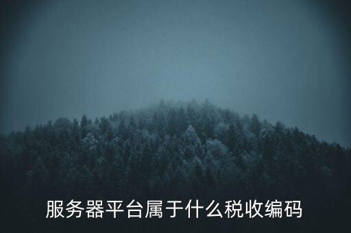 服務(wù)器平臺屬于什么稅收編碼