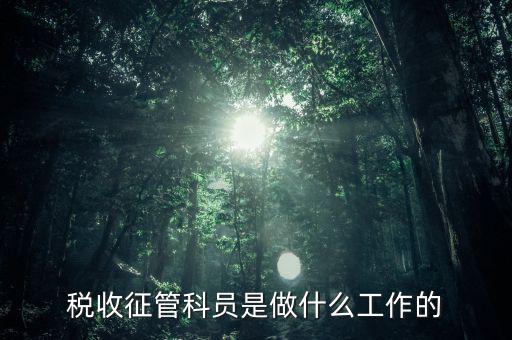 國稅局征管員和企業(yè)要做什么，稅收征管的公務員主要做什么工作