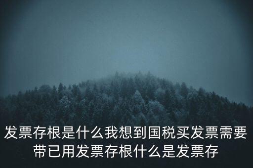 發(fā)票電子存根是什么，發(fā)票存根是什么