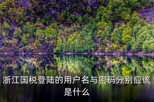 浙江國稅登陸的用戶名與密碼分別應(yīng)該是什么