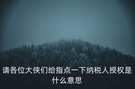 納稅人獲得感是什么意思，請各位大俠們給指點(diǎn)一下納稅人授權(quán)是什么意思