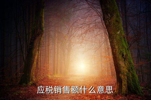 稅務(wù)銷售額是什么意思，年應(yīng)稅銷售額是什么意思