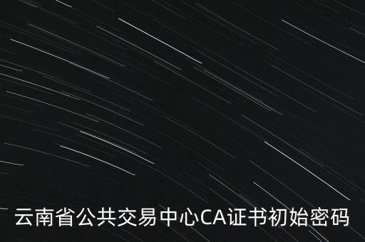 云南省公共交易中心CA證書初始密碼