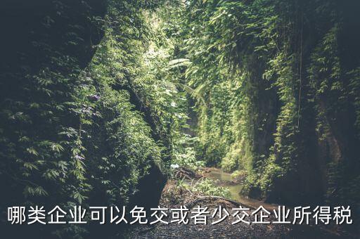 什么情況下企業(yè)可以減免稅收，哪類企業(yè)可以免交或者少交企業(yè)所得稅