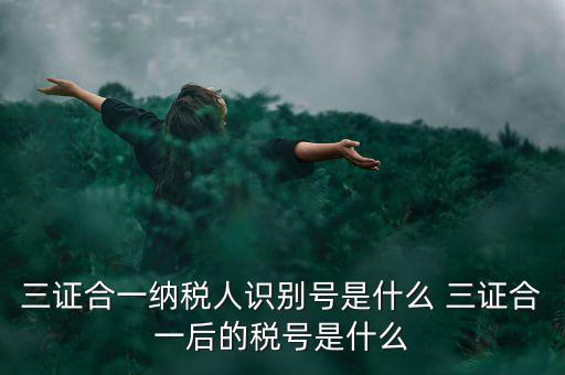 三證合一后稅號(hào)是什么，三證合一納稅人識(shí)別號(hào)是什么 三證合一后的稅號(hào)是什么