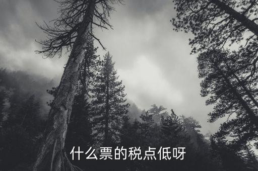 什么票的稅點(diǎn)低呀