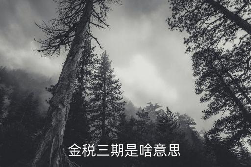 金稅三期是啥意思