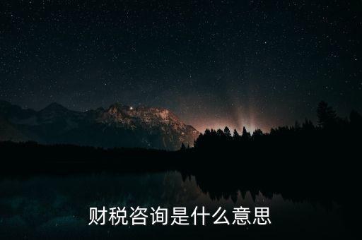 財稅咨詢是什么意思