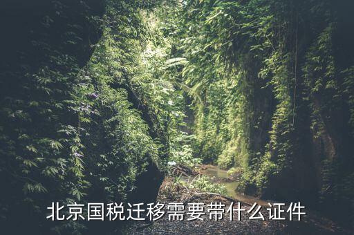 北京國稅遷移需要帶什么證件