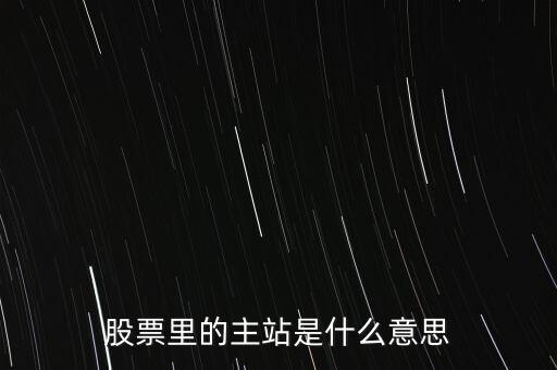 股票里的主站是什么意思