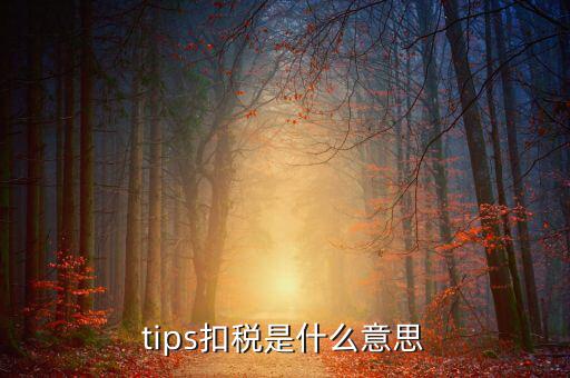 tips扣稅是什么意思