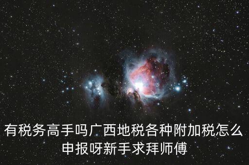 廣西地稅每個(gè)月要申報(bào)什么內(nèi)容，有稅務(wù)高手嗎廣西地稅各種附加稅怎么申報(bào)呀新手求拜師傅