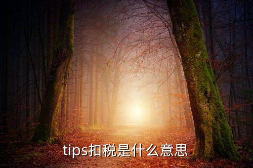 國(guó)稅tips系統(tǒng)指什么意思，電子對(duì)賬單上摘要一欄寫(xiě)有tips是什么意思