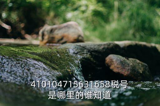 河南省的稅號是什么意思，410104715631658稅號是哪里的誰知道