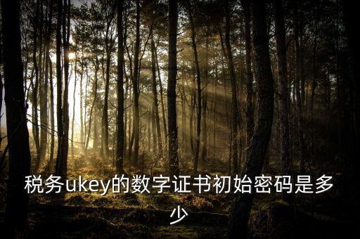 稅務(wù)ukey的數(shù)字證書(shū)初始密碼是多少